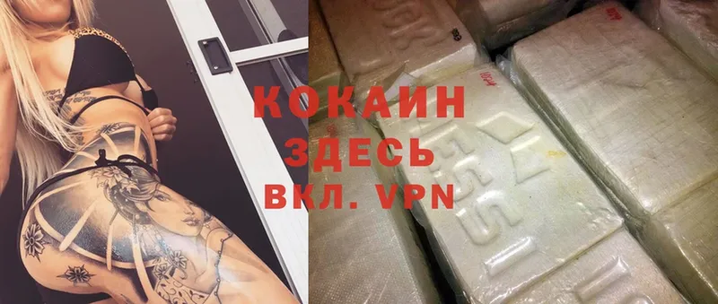 Cocaine Боливия  mega онион  Шуя  купить  цена 