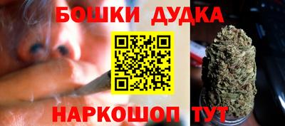 прущие крисы Бийск