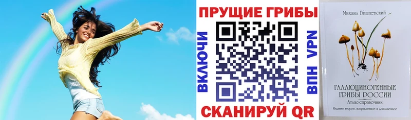 Псилоцибиновые грибы MAGIC MUSHROOMS  Шуя 