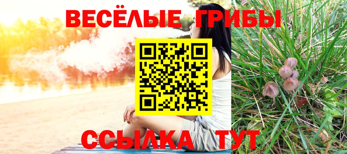 Шуя  Галлюциногенные грибы мицелий  Вход с VPN 