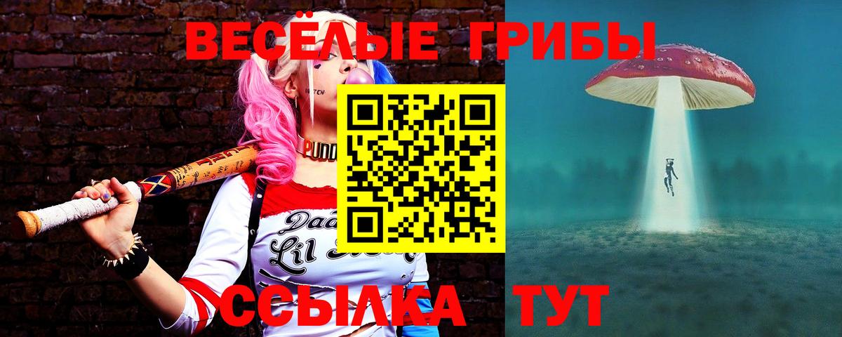 Галлюциногенные грибы GOLDEN TEACHER  Шуя 