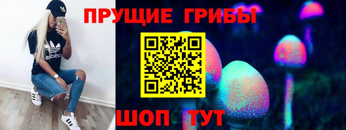Псилоцибиновые грибы мухоморы Шуя