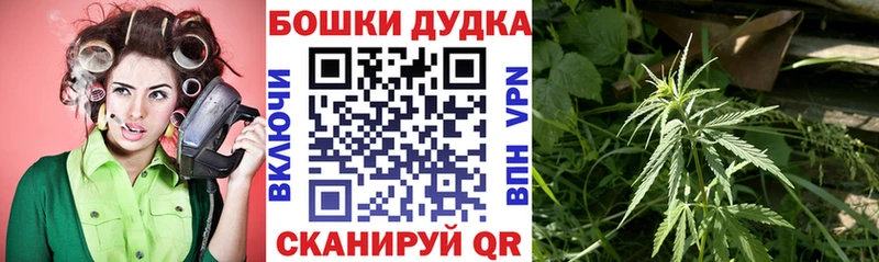 Бошки марихуана марихуана Шуя